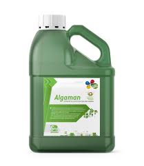 Algaman 2